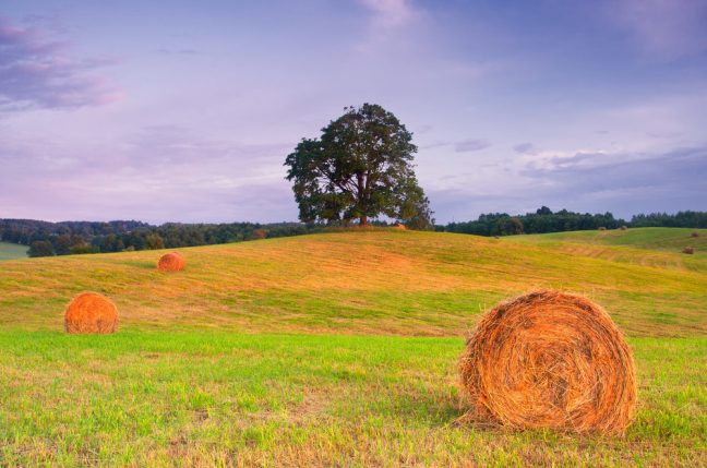 purchasing land